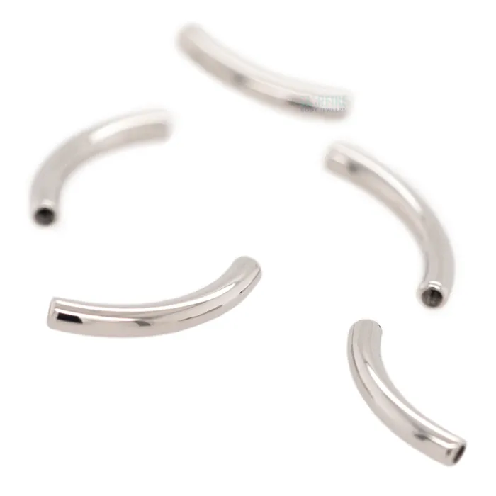 Anatometal Stainless Steel Threaded Curved Barbell Shaft 10 ga Earrings