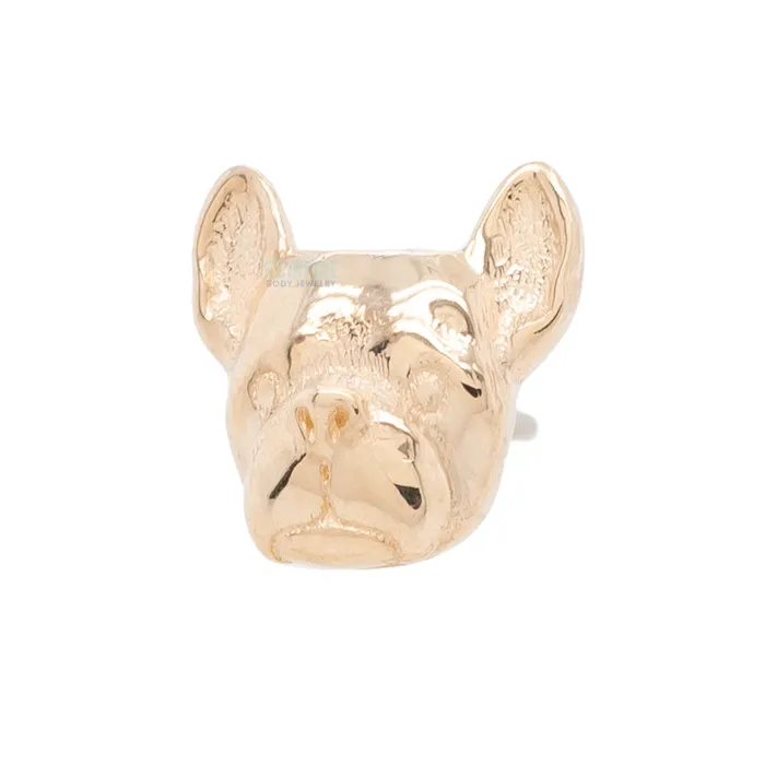 Mushroom Body Jewelry mushroom Earrings threadless Dog End in Gold