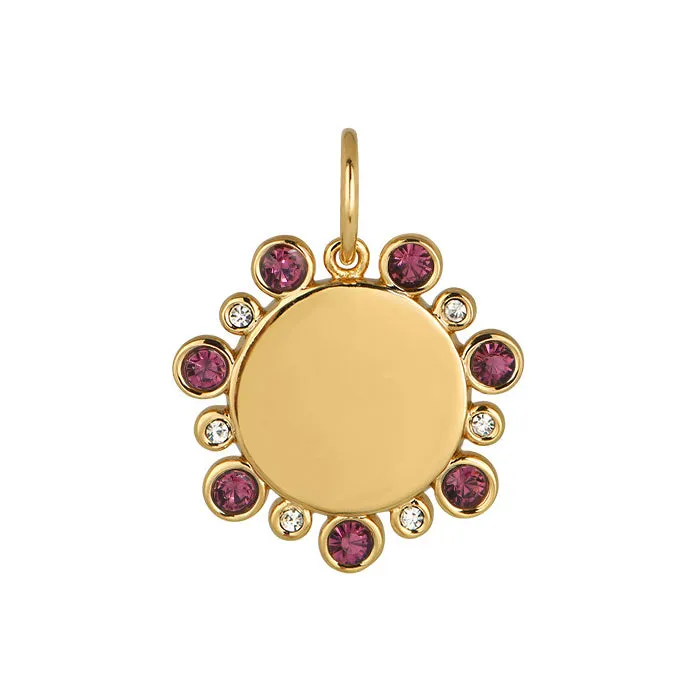 Necklaces Goldbug February Birthstone Pendant Goldbug Collection