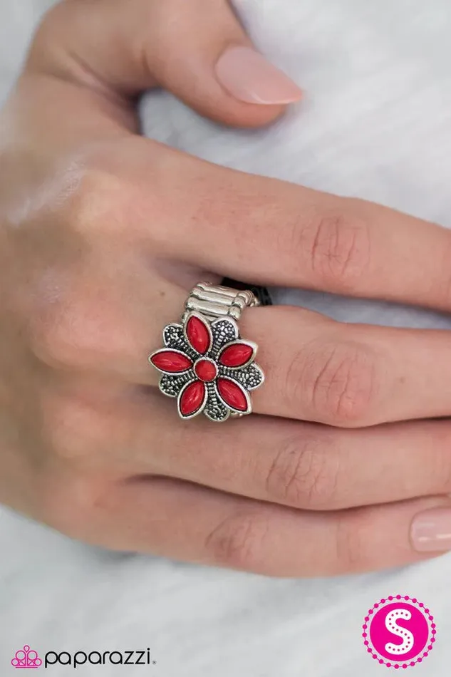 Rings Paparazzi Jewelry Paparazzi Ring How DAISY Is That Red
