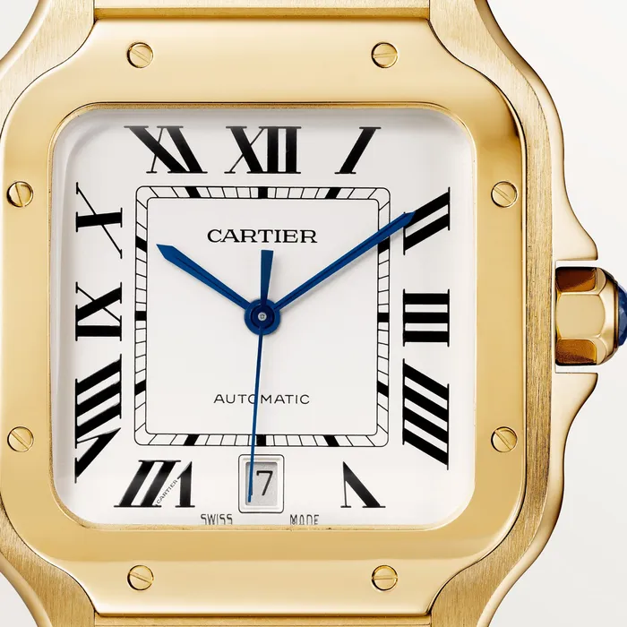 Watches Santos de Cartier watch CRWGSA0029 Cartier