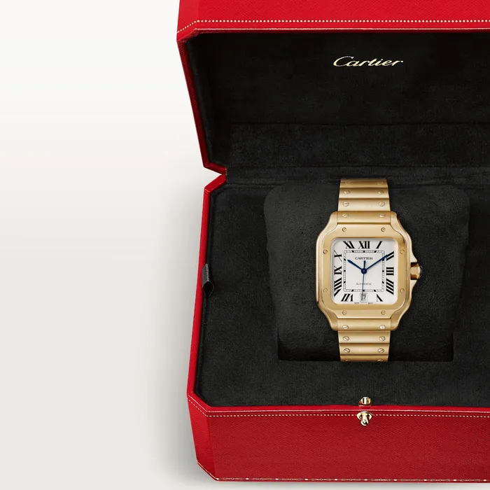 Watches Santos de Cartier watch CRWGSA0029 Cartier