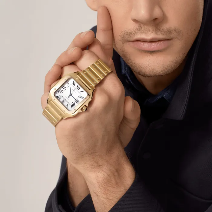 Watches Santos de Cartier watch CRWGSA0029 Cartier
