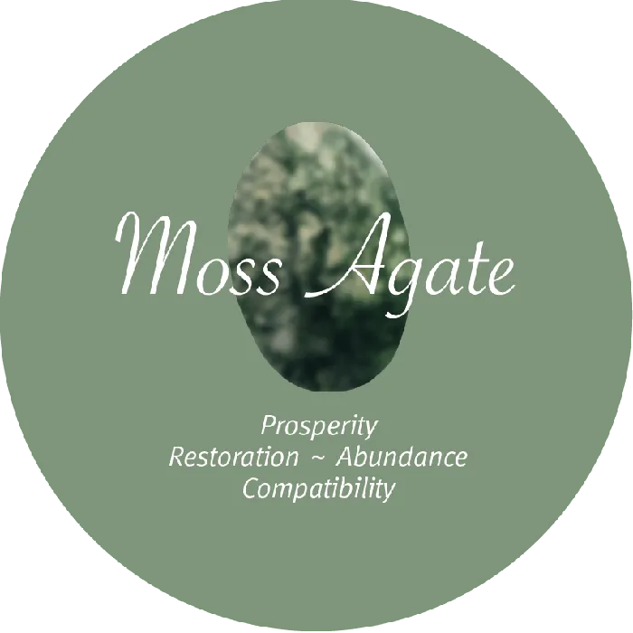 MyCONQUERing Rings Moss Agate Crystal Fidget Ring
