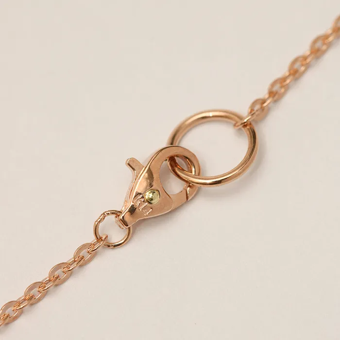 PreStyled Sets MinimalBijoux 14K 18K Gold Lucky Whale Tale Anklet