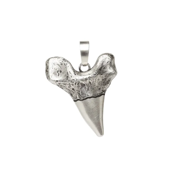 Charm Necklaces Sharktooth Charm DYLANLEX