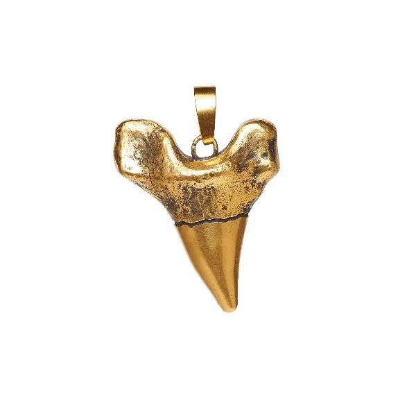 Charm Necklaces Sharktooth Charm DYLANLEX Charm Necklaces Sharktooth Charm DYLANLEX