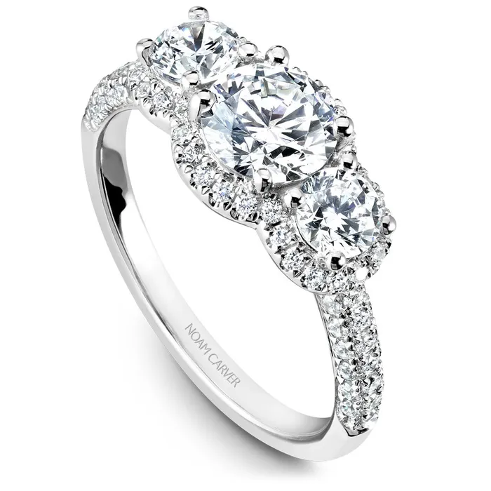 International Diamond Center Rings Noam Carver White Gold 3Stone Diamond Engagement Ring Setting 099 CTW International Diamond Center Rings Noam Carver White Gold 3Stone Diamond Engagement Ring Setting 099 CTW